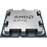 AMD EPYC™ 4465P, Processore Vassoio