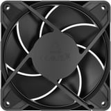 ARCTIC Freezer P12 Pro PST Case per computer Ventilatore 12 cm Nero 1 pz, Ventola Nero, Ventilatore, 12 cm, 131 m³/h, Nero