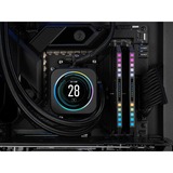Corsair DIMM 64 GB DDR5-5600 (2x 32 GB) Kit Dual, Memoria grigio/Nero