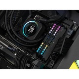 Corsair DIMM 64 GB DDR5-5600 (2x 32 GB) Kit Dual, Memoria grigio/Nero