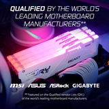 Kingston FURY FURY Beast 32 GB 5600 MT/s DDR5 CL36 DIMM White RGB EXPO, Memoria bianco, 32 GB, 1 x 32 GB, DDR5, 288-pin DIMM