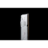 Kingston FURY FURY Beast 32 GB 5600 MT/s DDR5 CL36 DIMM White RGB EXPO, Memoria bianco, 32 GB, 1 x 32 GB, DDR5, 288-pin DIMM