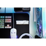 Kingston FURY FURY Beast 32 GB 5600 MT/s DDR5 CL36 DIMM White RGB EXPO, Memoria bianco, 32 GB, 1 x 32 GB, DDR5, 288-pin DIMM