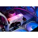 Kingston FURY FURY Beast 32 GB 5600 MT/s DDR5 CL36 DIMM White RGB EXPO, Memoria bianco, 32 GB, 1 x 32 GB, DDR5, 288-pin DIMM