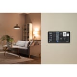 Shelly Wall Display X2i, Pannello di controllo argento