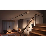 Philips Hue Faretto cilindrico Perifo, Lampada Nero, Philips Hue White and Color ambiance Faretto cilindrico Perifo, Faretto luminoso intelligente, Bluetooth/Zigbee, Nero, LED integrato, Metallo, Lampadina/e non sostituibile/i