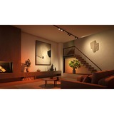 Philips Hue Faretto cilindrico Perifo, Lampada Nero, Philips Hue White and Color ambiance Faretto cilindrico Perifo, Faretto luminoso intelligente, Bluetooth/Zigbee, Nero, LED integrato, Metallo, Lampadina/e non sostituibile/i