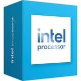 Intel® Processore 300 boxed