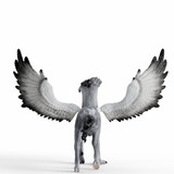 Schleich Harry Potter Fierobecco, Gioco figura 6 anno/i, Magical Creatures, Nero, Bianco, Plastica