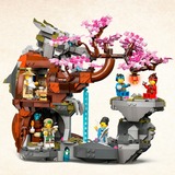 LEGO NINJAGO 71819 Santuario della Pietra del Drago Giocattolo, Giochi per Bambini 13+, 6 Minifigure e Campo di Addestramento, Giochi di costruzione Giochi per Bambini 13+, 6 Minifigure e Campo di Addestramento, Set da costruzione, 13 anno/i, Plastica, 1212 pz, 1,62 kg