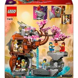 LEGO NINJAGO 71819 Santuario della Pietra del Drago Giocattolo, Giochi per Bambini 13+, 6 Minifigure e Campo di Addestramento, Giochi di costruzione Giochi per Bambini 13+, 6 Minifigure e Campo di Addestramento, Set da costruzione, 13 anno/i, Plastica, 1212 pz, 1,62 kg