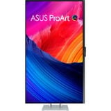 ASUS ProArt OLED PA32UCDM Monitor PC 80 cm (31.5") 3840 x 2160 Pixel 4K Ultra HD QD-OLED Argento, Monitor OLED argento, 80 cm (31.5"), 3840 x 2160 Pixel, 4K Ultra HD, QD-OLED, 0,1 ms, Argento
