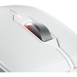 CHERRY JW-8550-0 mouse Universale Mano destra RF Wireless Ottico 4000 DPI bianco, Mano destra, Ottico, RF Wireless, 4000 DPI, Grigio, Bianco