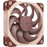 Noctua NF-A12x25 G2 PWM, Ventola marrone/Beige