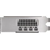 PNY NVIDIA RTX 2000 Ada Generation 16GB SB, Scheda grafica 