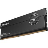 Team Group DIMM 48 GB DDR5-8200 (2x 24 GB) Kit doppio, Memoria Nero