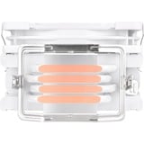Thermaltake UX200 SE ARGB Lighting CPU Cooler White, raffreddamento CPU  bianco