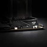 ADATA DIMM 32 GB DDR5-6000 (2x 16 GB) Dual-Kit, Memoria Nero