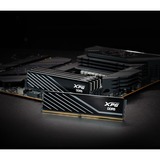 ADATA DIMM 32 GB DDR5-6000 (2x 16 GB) Dual-Kit, Memoria Nero