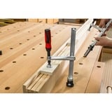 BESSEY Elemento di serraggio TW16-20-10-2K, Morsetto argento/Rosso