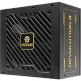 Enermax REVOLUTION III 750W, Alimentatore PC 