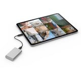 LaCie Portable SSD 1 TB, Disco a stato solido argento