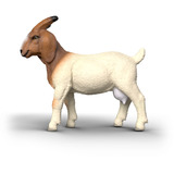 Schleich Farm World Capra di Burenzio, Gioco figura 