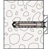 fischer Tassello SX Plus 6x50 K grigio chiaro