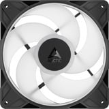 ARCTIC P14 Pro Reverse A-RGB, Ventola Nero