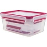 Emsa 515584 recipiente per cibo Rettangolare Scatola Verde, Trasparente 3 pz, Casella trasparente/Lampone, Scatola, Rettangolare, Verde, Trasparente, Elastomero Termoplastico (TPE), Germania, 3 pz