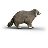 Schleich Wild Life Procione, Gioco figura 