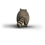 Schleich Wild Life Procione, Gioco figura 