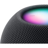 Apple Homepod mini, Altoparlante Nero