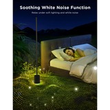 Govee Lampada da terra RGBICWW Pro, Luce LED Nero