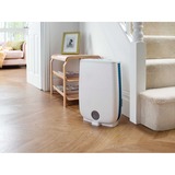 Meaco Deumidificatore DD8L ION, con ionizzatore e nano-filtro bianco