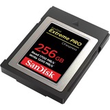 SanDisk SDCFE-256G-GN4NN memoria flash 256 GB CFexpress, Scheda di memoria 256 GB, CFexpress, 1700 MB/s, 1200 MB/s, Nero