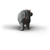 Schleich Vita Selvatica Ippopotamo, Gioco figura 
