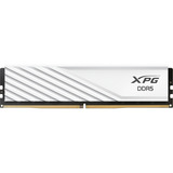 ADATA DIMM 24 GB DDR5-6000, Memoria bianco