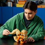 LEGO Pokémon Arcanine, Giochi di costruzione 