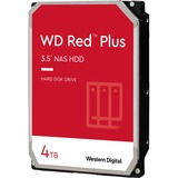 WD Red Plus disco rigido NAS 4 TB, Hard-disk 