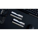 G.Skill Trident Z RGB F5-6000J3040G32GX2-TZ5RS memoria 64 GB 2 x 32 GB DDR5 6000 MHz argento, 64 GB, 2 x 32 GB, DDR5, 6000 MHz