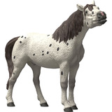 Schleich Horse Club Knabstrupper Castrato, Gioco figura 5 anno/i, Multicolore, Plastica