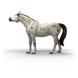 Schleich Horse Club Knabstrupper Castrato, Gioco figura 5 anno/i, Multicolore, Plastica