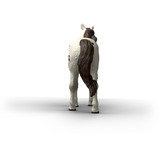 Schleich Horse Club Knabstrupper Castrato, Gioco figura 5 anno/i, Multicolore, Plastica