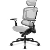 Sharkoon Sedia da ufficio OfficePal C50M grigio