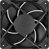 ARCTIC P12 Pro LN, Ventola Nero