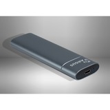 Inter-Tech GD-MS013, Disk enclosure grigio