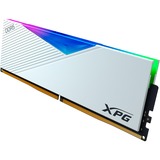 ADATA LANCER RGB memoria 16 GB 1 x 16 GB DDR5 288-pin DIMM bianco, 16 GB, 1 x 16 GB, DDR5, 6400 MHz, 288-pin DIMM