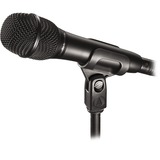 Audio-Technica AT2010, Microfono Nero