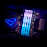 ADATA DIMM 16 GB DDR5-6000, Memoria Nero